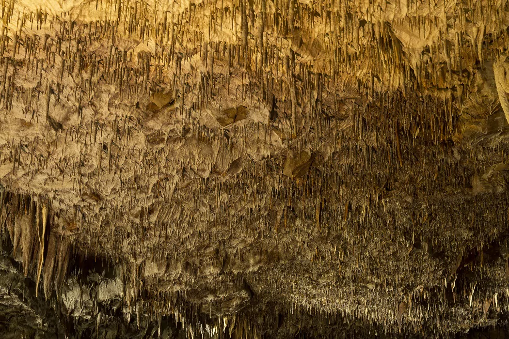 Σπήλαιο Κάψια - Ορεινή Αρκαδία