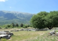 Το αρχαίο Μαντείο που έδιναν χρησμό τα φύλλα και το τρεχούμενο νερό