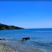 Θυμάρι: Η παραλία με τα γαλαζοπράσινα νερά 1 ώρα από την Αθήνα