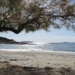 Κιτέζα: Η παραλία στην Αττική με τα ρηχά και καθαρά νερά1