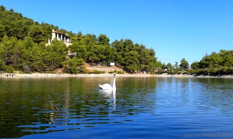 Λίμνη Μπελέτσι μονοήμερες κοντά στην Αθήνα