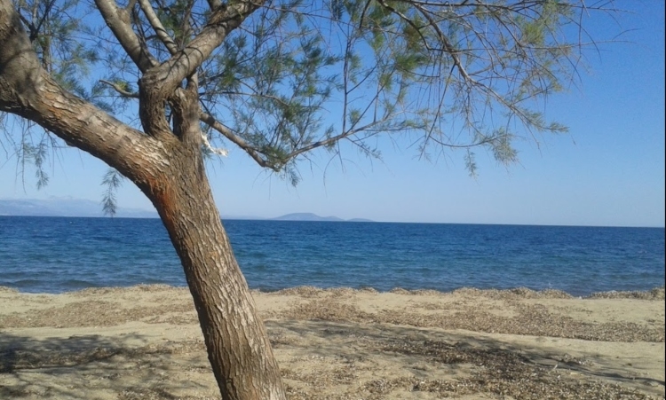 Μπορεί το καλοκαίρι να τελείωσε αλλά τα μπάνια στις παραλίες της Αττικής μπορούν να συνεχιστούν