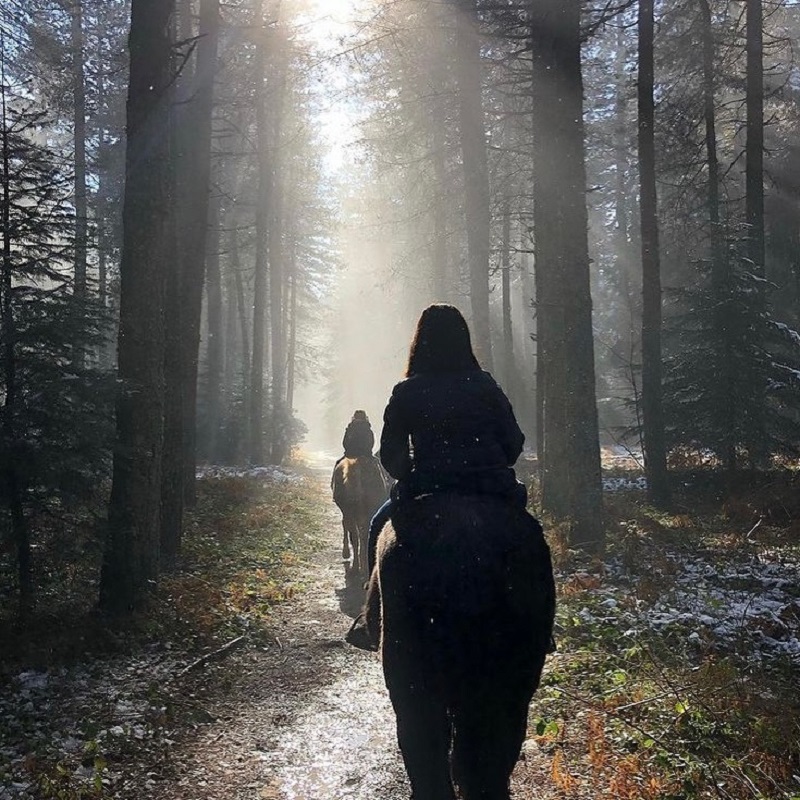 Ταξίδι στο Περτούλι Τρικάλων: Κερκέτιο, βόλτα στο δάσος