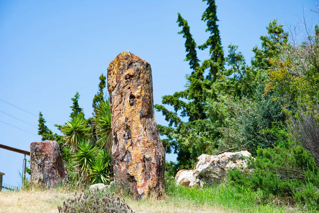 Petrified Forest in Lesvos