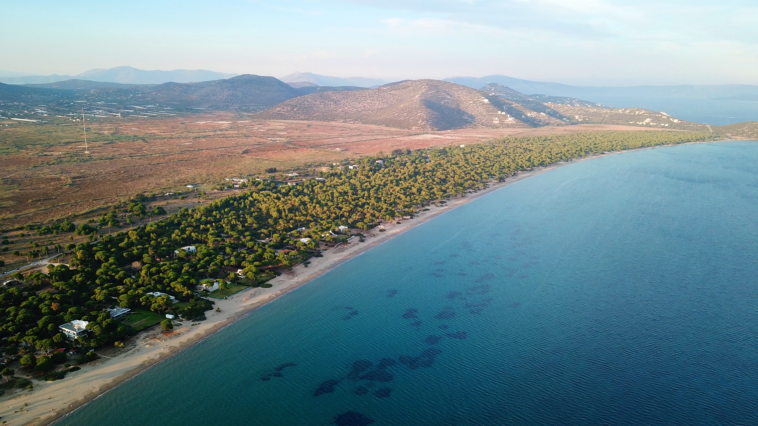 Παραλίες Αττικής: Σχοινιάς