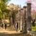 Αρχαία Ήλιδα - Αρχαία Ολυμπία: Το πέρασμα σε μια άλλη Ελλάδα, ένα μοναδικό ταξίδι