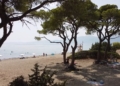 Σχοινιάς: Η εντυπωσιακή εξωτική παραλία της Αττικής