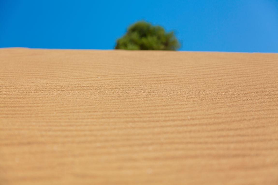 Sand dunes of Lemnos like... Sahara