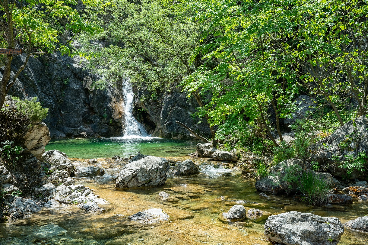 Ρέμα Ορλιά