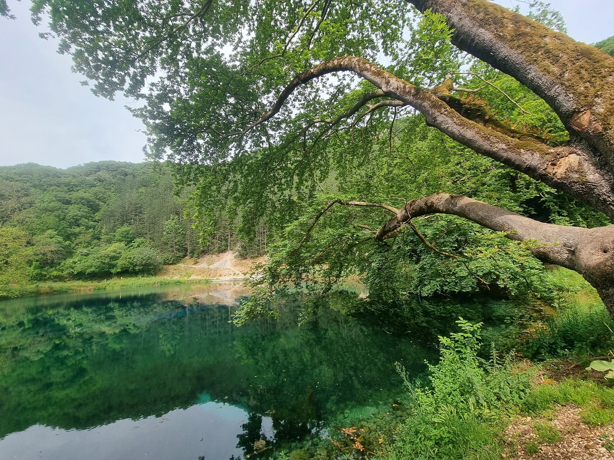 Ήπειρος: Λίμνη Βηρού