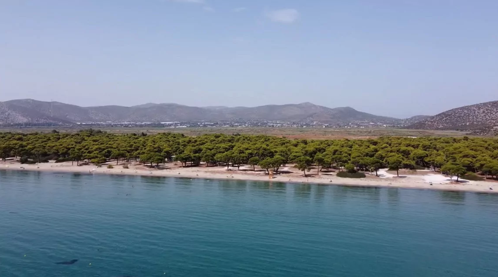 Σχοινιάς - Παραλίες της Αττικής