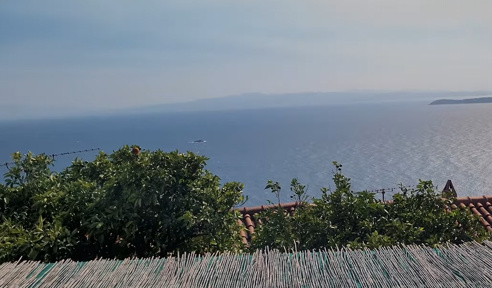Σκόπελος - Γλώσσα